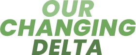 Our Changing Delta